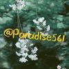 paradise561